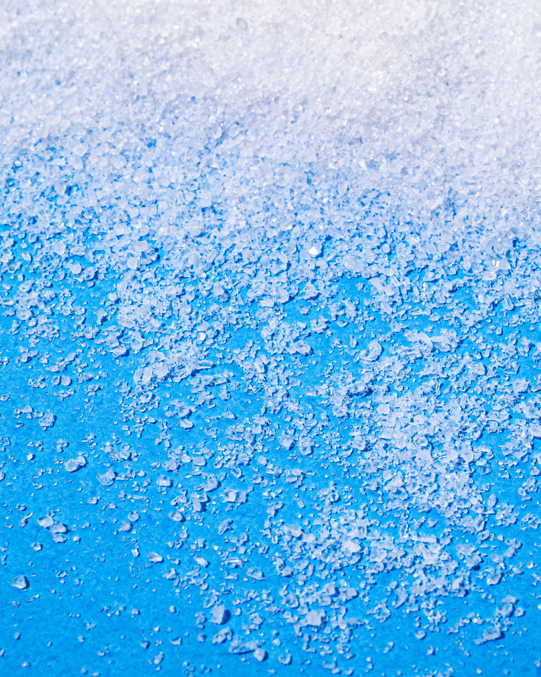 The Essentials Bundle