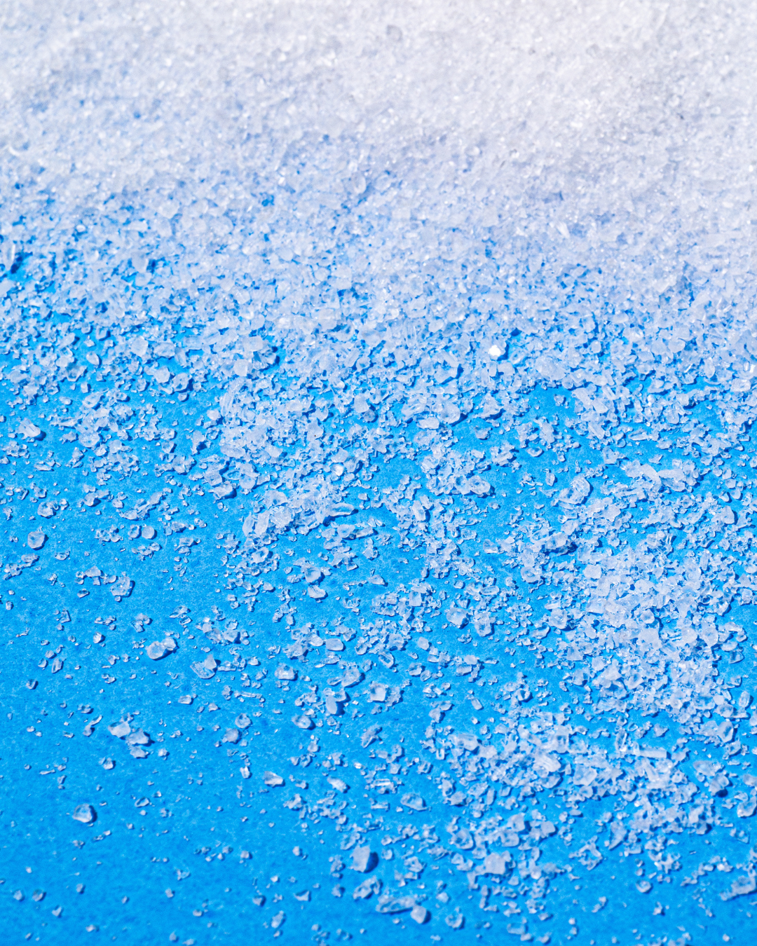 The Essentials Bundle